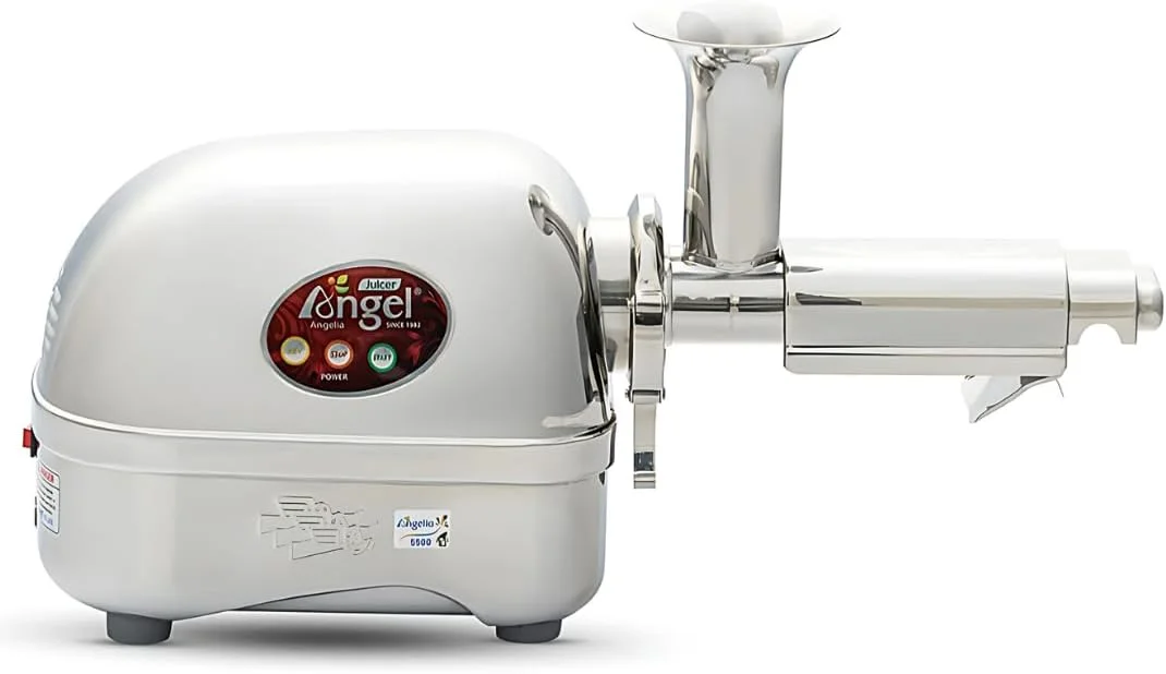 Angel Juicer AG-5500